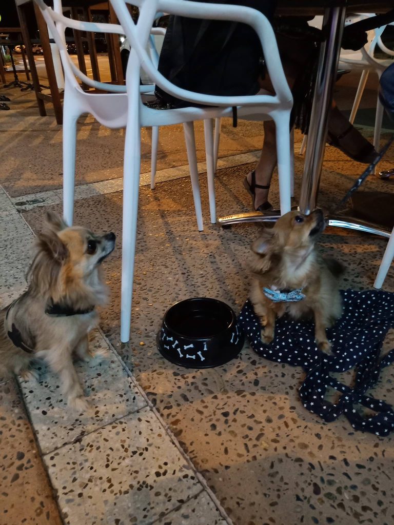 We are pet friendly~~~^_^