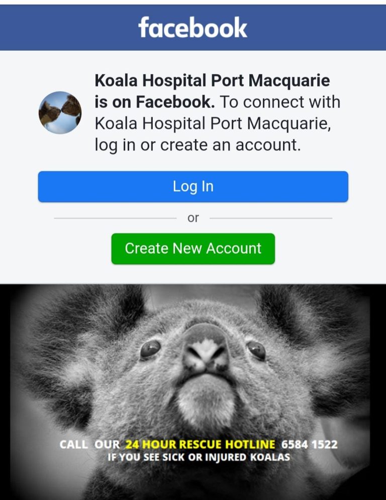 BUSH FIRE APPEAL for Koalas rescue.  
-this is a small part of our contribution …