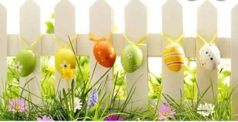 From Team Arunya to you & your family a safe & Good Health for Easter.
#Stay hom…